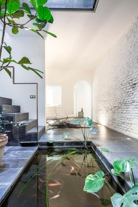 Exclusivo Apartamento De Diseno Centro Sevilla Matahacas Bajo Екстер'єр фото