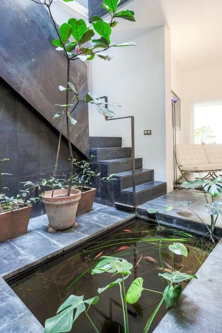 Exclusivo Apartamento De Diseno Centro Sevilla Matahacas Bajo Екстер'єр фото
